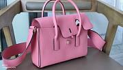 Hermes Darg pink 22cm - 4