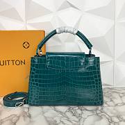 Louis Vuitton Blue Crocodile Capucines PM - 5