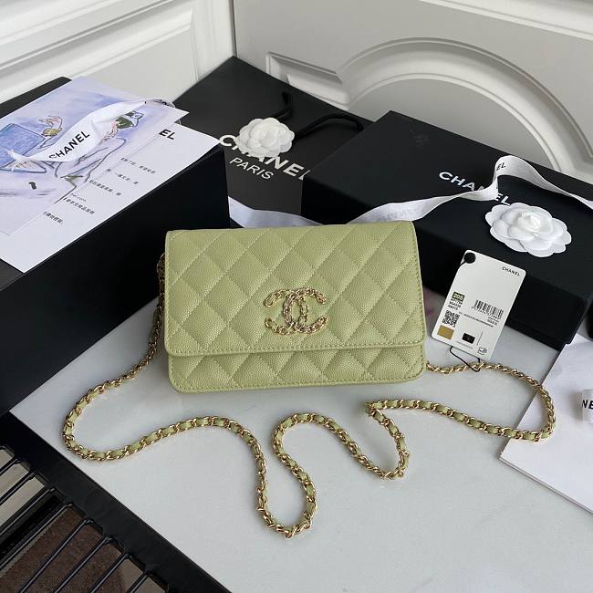 Chanel woc flap caviar leather bag green AP794 2020 - 1