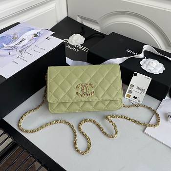 Chanel woc flap caviar leather bag green AP794 2020