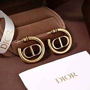 Dior earings - 2