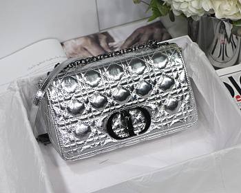 Dior Caro Silver Metallic 20cm