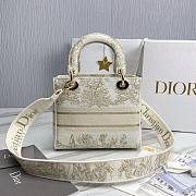 Dior lady gold embroidered bag 24cm - 5