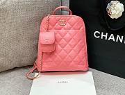 Chanel pink lampskin backpack + small purse - 1