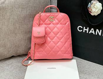 Chanel pink lampskin backpack + small purse