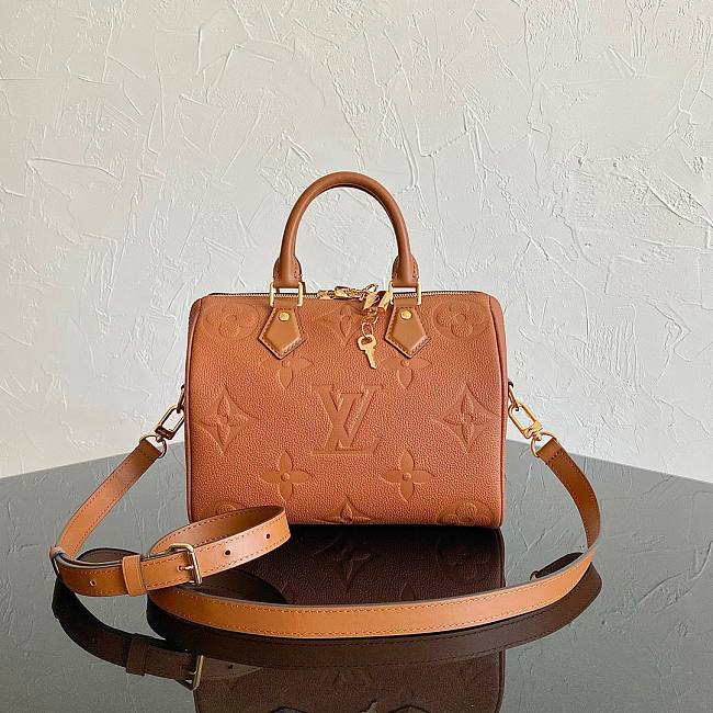Louis Vuitton Speedy brown PM bag - 1