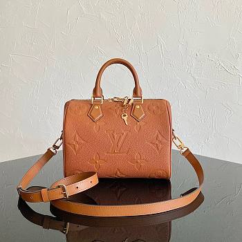Louis Vuitton Speedy brown PM bag