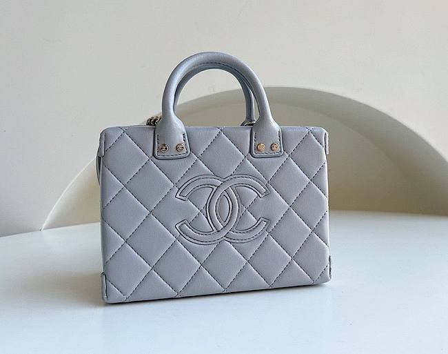 Chanel Vanity Case Calfskin Gray Bag - 1