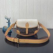 Louis Vuitton Diane Cozy bag - 1
