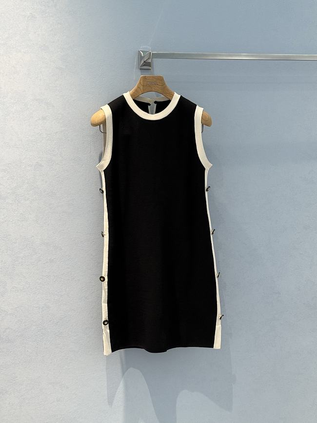 Dior Black Dress - 1