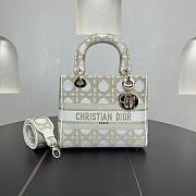 Dior Medium Lady Dior Gold&White - 24*20*11cm - 1