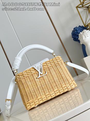 Louis Vuitton Capucines Raffia Picnic White - 21 x 8 x 14cm