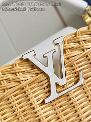 Louis Vuitton Capucines Raffia Picnic White - 21 x 8 x 14cm - 5