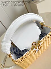 Louis Vuitton Capucines Raffia Picnic White - 21 x 8 x 14cm - 4