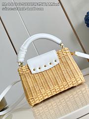 Louis Vuitton Capucines Raffia Picnic White - 21 x 8 x 14cm - 3