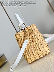 Louis Vuitton Capucines Raffia Picnic White - 21 x 8 x 14cm - 2