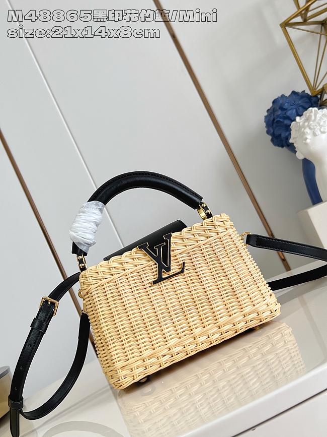 	 Louis Vuitton Capucines Raffia Picnic Black - 21 x 8 x 14cm - 1