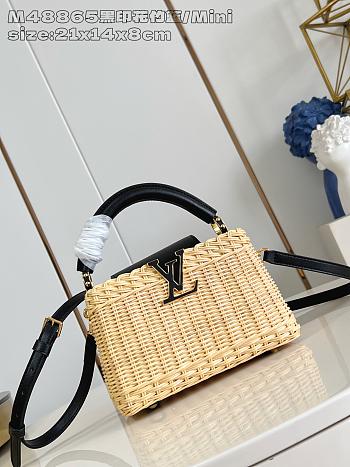 	 Louis Vuitton Capucines Raffia Picnic Black - 21 x 8 x 14cm