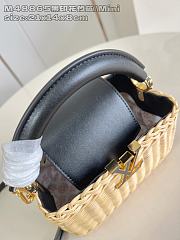 	 Louis Vuitton Capucines Raffia Picnic Black - 21 x 8 x 14cm - 2